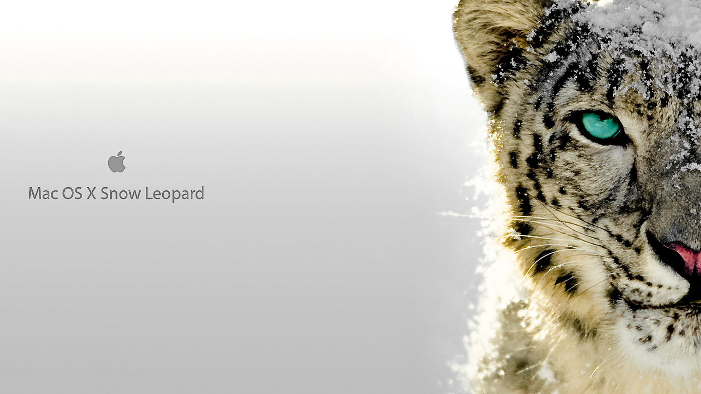 Os x snow leopard download dmg